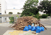 ８月１７日の「兵庫運河・真珠貝プロジェクト」の見学会の際に当会の理事全員で見学場所の清掃しましたが・・・