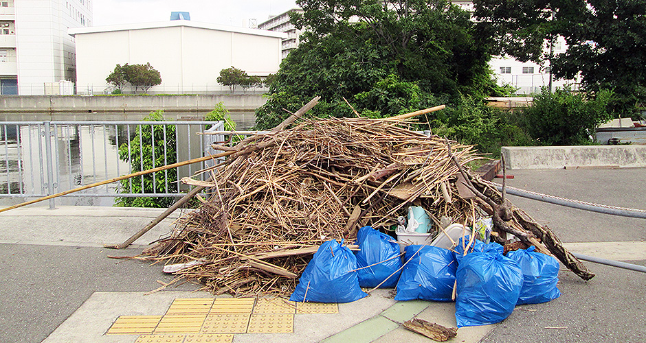 ８月１７日の「兵庫運河・真珠貝プロジェクト」の見学会の際に当会の理事全員で見学場所の清掃しましたが・・・