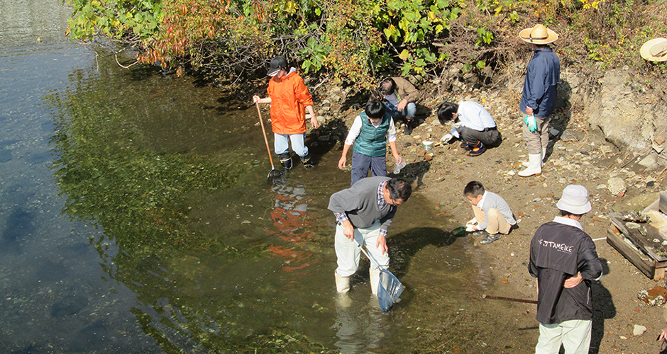 兵庫運河全域での生息する貝類、カニ類や他の生物の調査を実施しました。