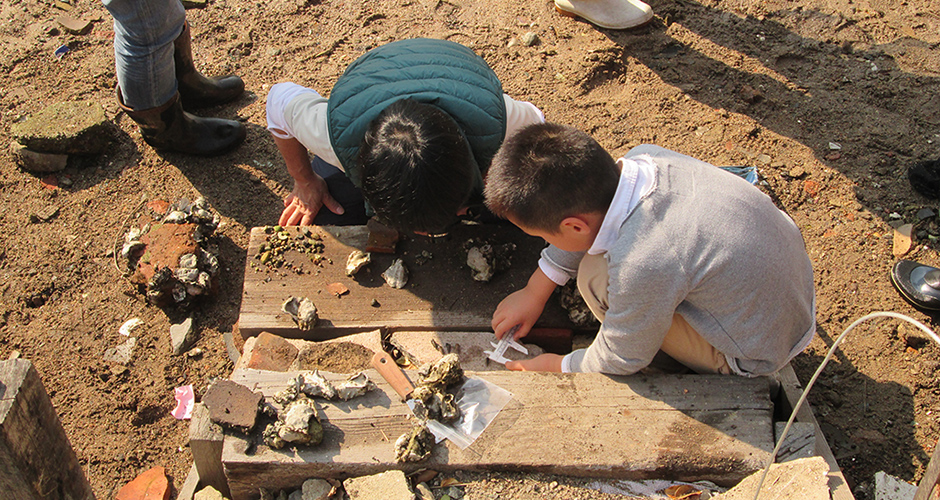 兵庫運河全域での生息する貝類、カニ類や他の生物の調査を実施しました。