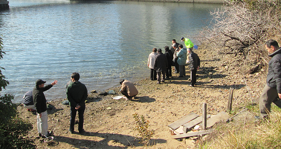 １月２４日に材木町のカフェ「北の椅子と」にて兵庫運河自然調査報告会を開催しました。