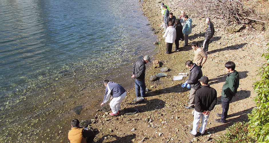 １月２４日に材木町のカフェ「北の椅子と」にて兵庫運河自然調査報告会を開催しました。