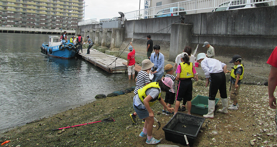 ６月２８日（日）に神戸市環境局主催の「こうべエコちゃれゼミ」のイベント「兵庫運河を探検しよう！～こんなところにも生き物が！～」が開催されました。