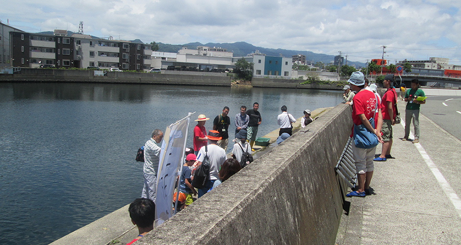 ６月２８日（日）に神戸市環境局主催の「こうべエコちゃれゼミ」のイベント「兵庫運河を探検しよう！～こんなところにも生き物が！～」が開催されました。