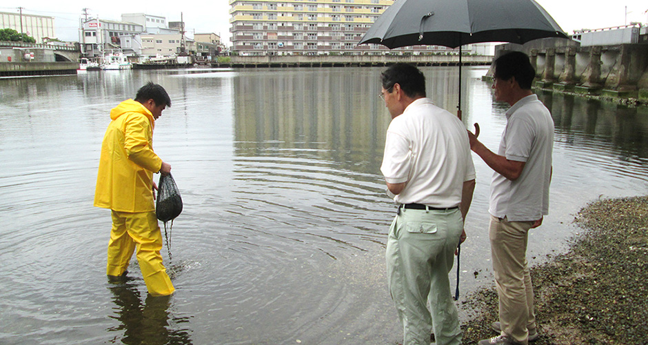 ９月９日（水）に兵庫漁業協同組合の水産研究会が以前から実施しているアサリ育成実験の天然アサリ採集袋の取り上げと調査のお手伝いをしました。
