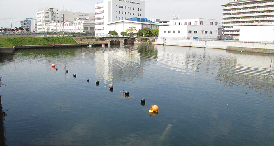 粗朶沈床作業を実施されました。