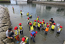 浜山小学校環境学習