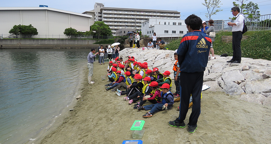 兵庫運河沿いの浜山小学校の３年生を対象に環境学習会が始まりました。