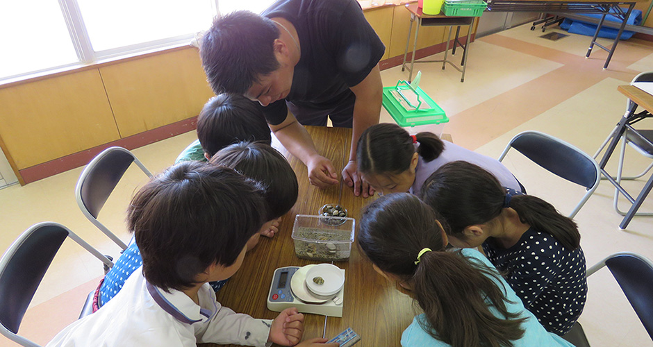 浜山小学校環境学習・兵庫運河アサリ育成実験