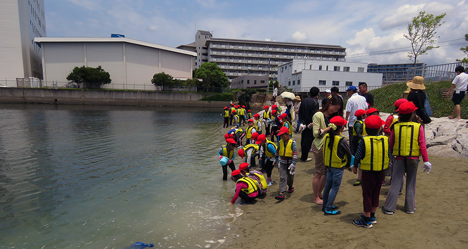 浜山小学校環境学習・兵庫運河アサリ育成実験