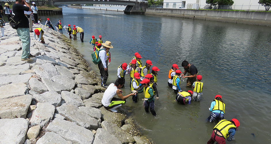 浜山小学校環境学習・兵庫運河アサリ育成実験