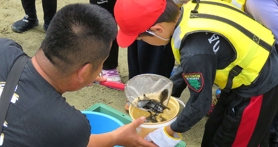 ヒラメの稚魚を１万匹以上放流しました