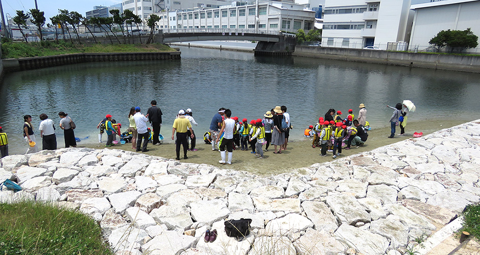 ヒラメの稚魚を１万匹以上放流しました