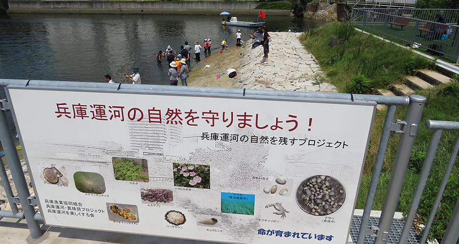 兵庫運河の地元の子供たちに！