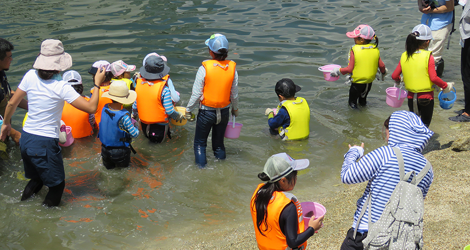 兵庫運河でヒラメの稚魚・アサリの稚貝の放流体験！
