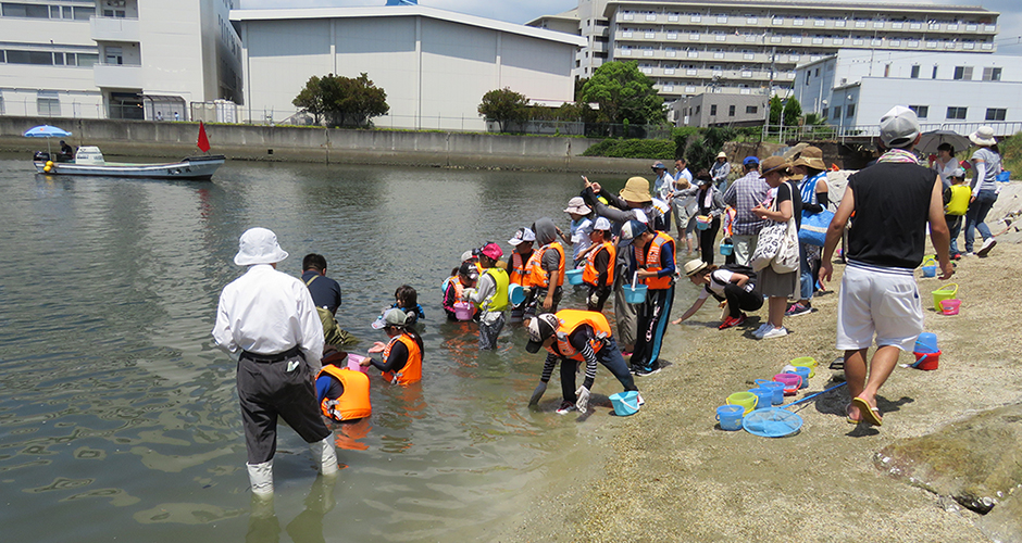 兵庫運河でヒラメの稚魚・アサリの稚貝の放流体験！