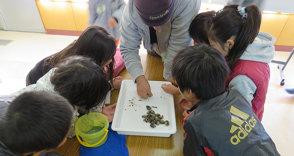 浜山小学校環境学習アサリ成長記録会