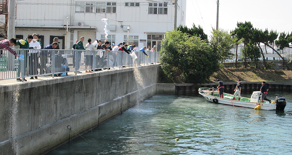 兵庫運河をもっと綺麗に！！