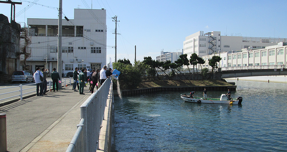 兵庫運河をもっと綺麗に！！