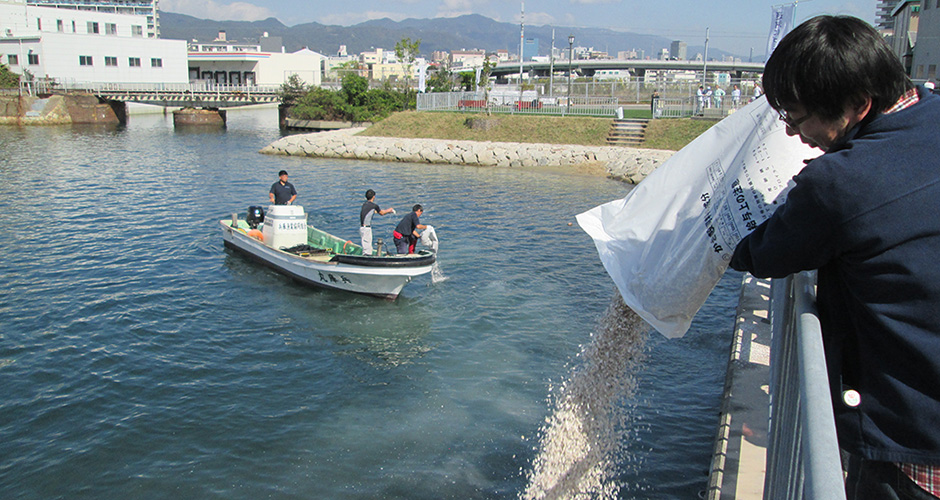 兵庫運河をもっと綺麗に！！