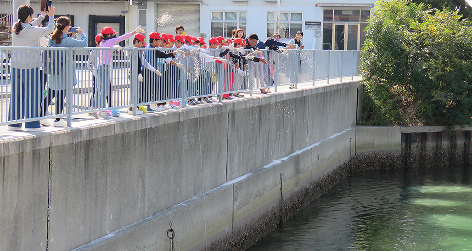 神戸市立浜山小学校の環境学習（アサリ育成実験）！