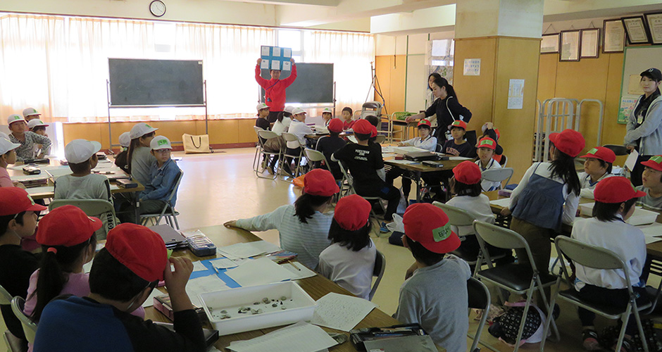 神戸市立浜山小学校の環境学習（アサリ育成実験）！