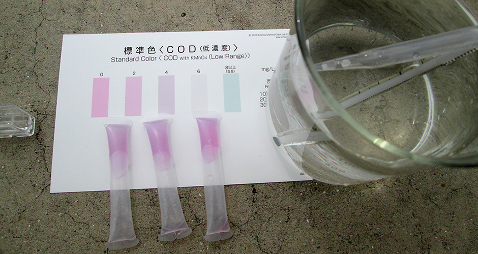 兵庫運河の水質調査を実施しました！！