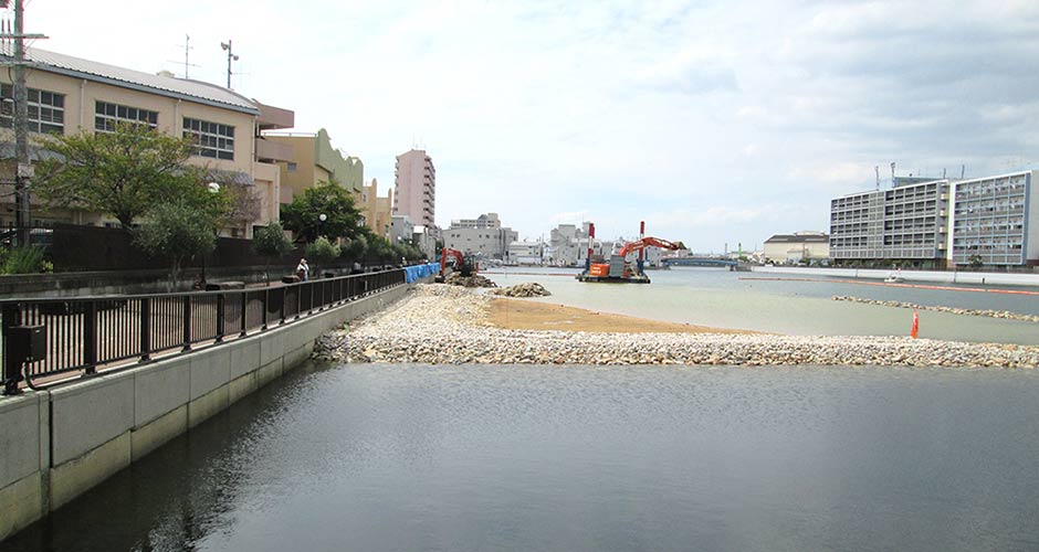 人工砂浜の工事現場に野鳥が見学！！