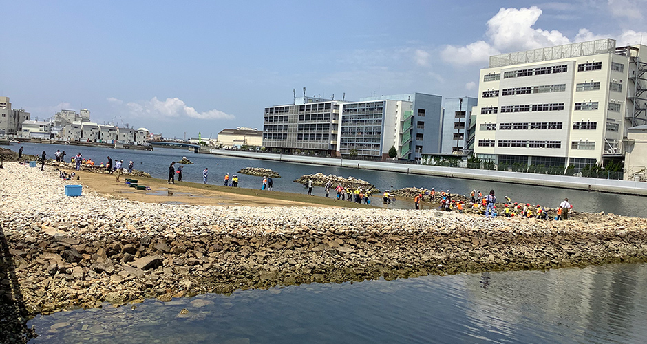 国土交通省大阪湾生物一斉調査が行われました。