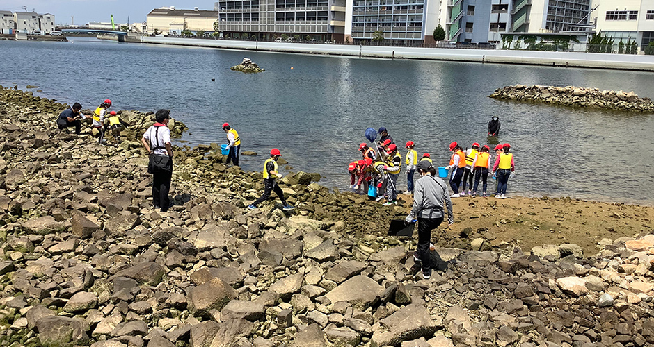 国土交通省大阪湾生物一斉調査が行われました。