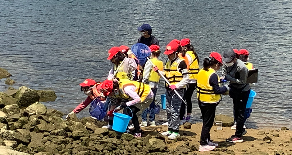 国土交通省大阪湾生物一斉調査が行われました。