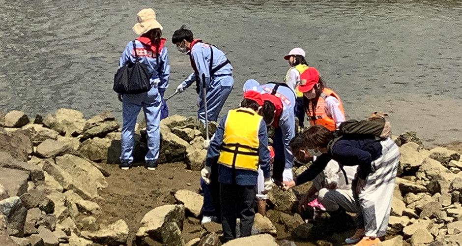 国土交通省大阪湾生物一斉調査が行われました。