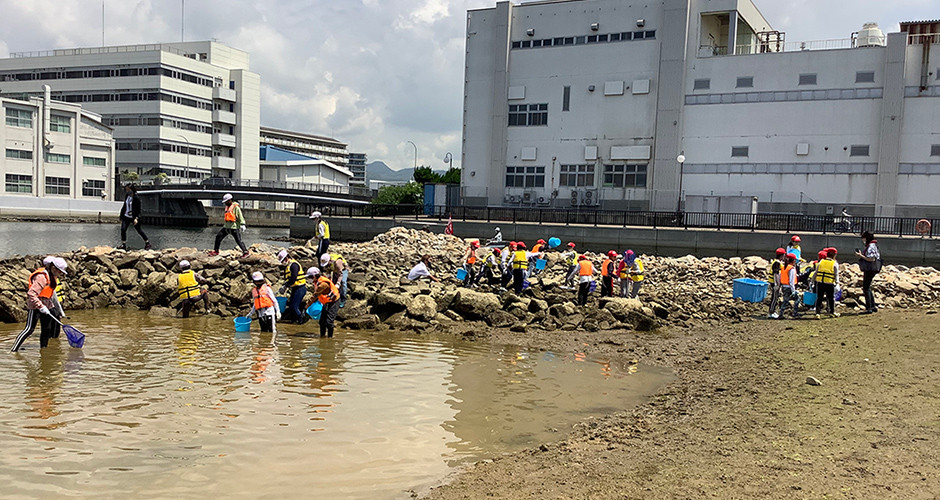 国土交通省大阪湾生物一斉調査が行われました。