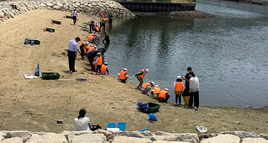 本年度一回目の神戸市立浜山小学校アサリ観察会が行われました。