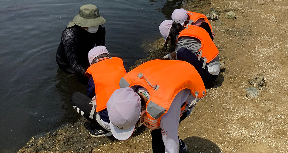 本年度一回目の神戸市立浜山小学校アサリ観察会が行われました。