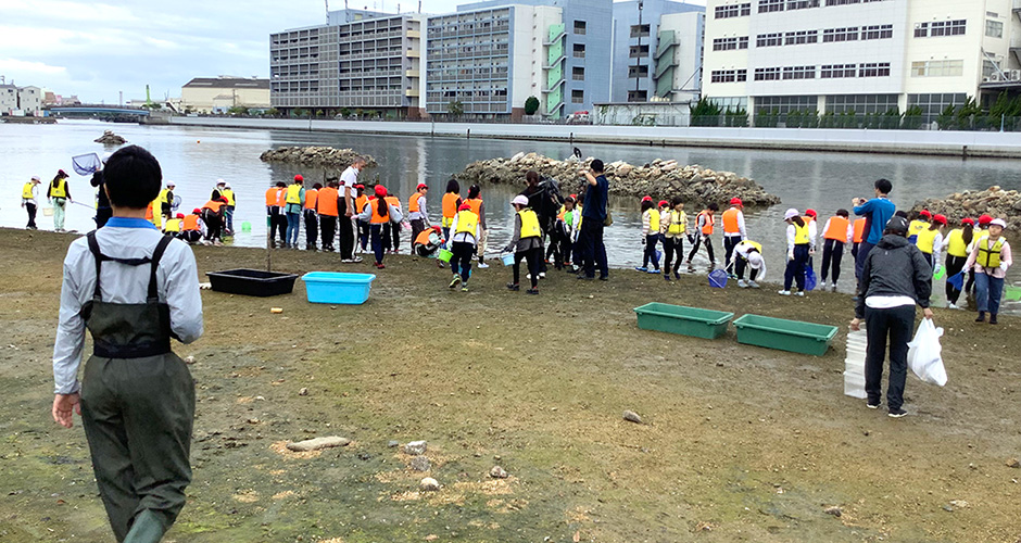 小学生参加型大阪湾一斉調査が行われました。