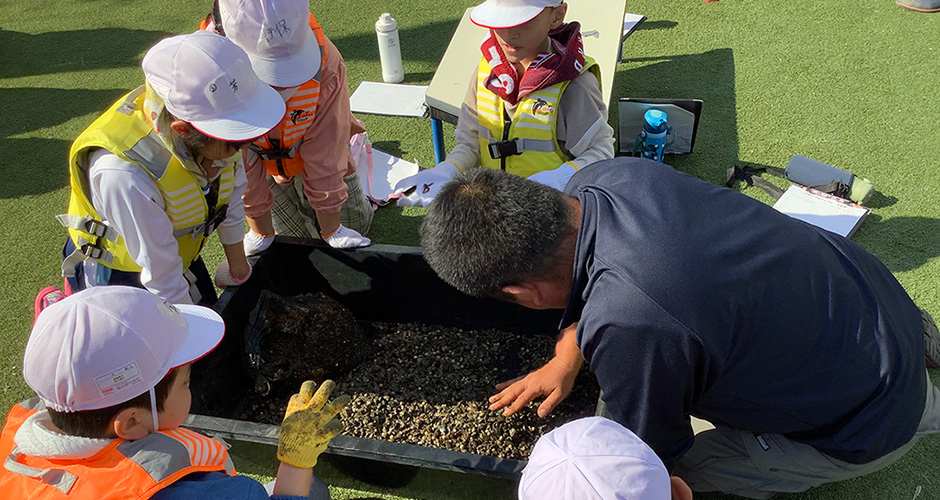 浜山小学校3年生　環境体験学習「アサリプロジェクト」が行われました。